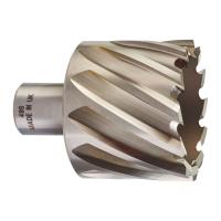 Кольцевая фреза D49х30мм (1 шт)