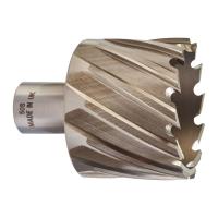 Кольцевая фреза D50х30мм (1 шт)